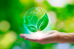 Curso Fundamentos para la gestión ambiental y desarrollo sostenible.