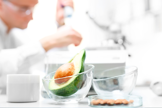 Fundamentos de la Seguridad Alimentaria y Trazabilidad