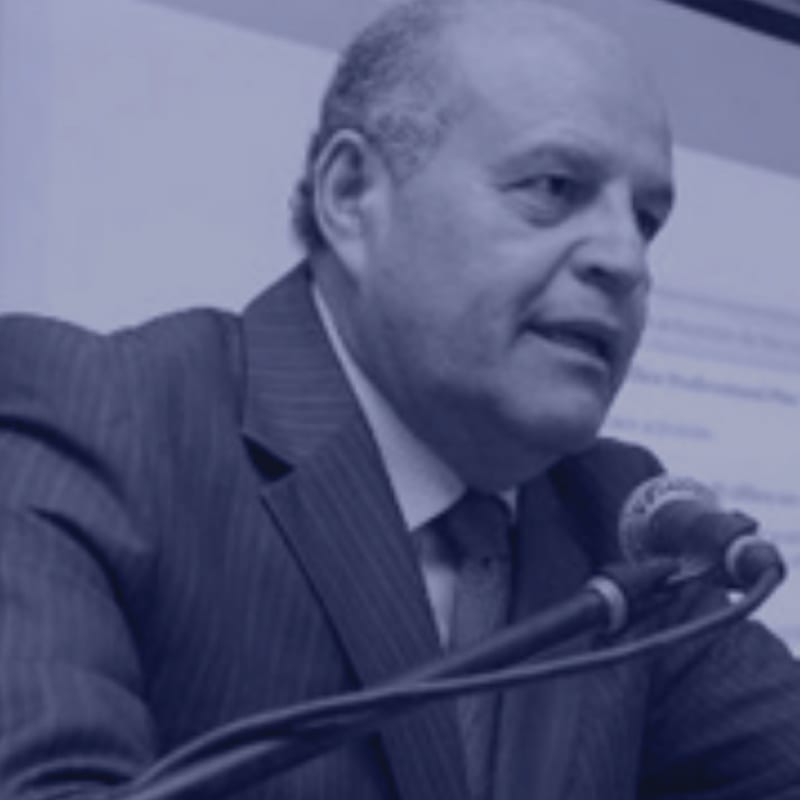 José Luis Alfinger